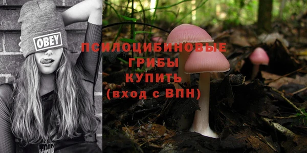 дмт Белокуриха