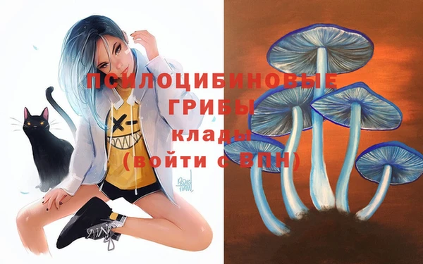 мескалин Беломорск