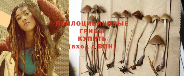дмт Белокуриха