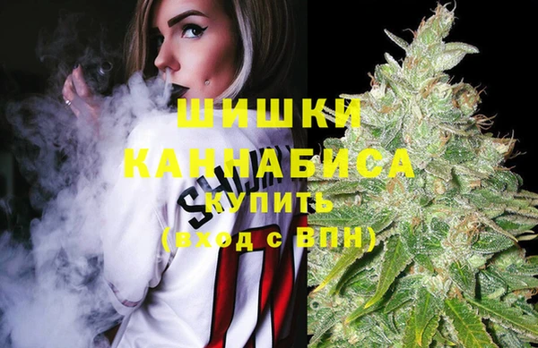дмт Белокуриха